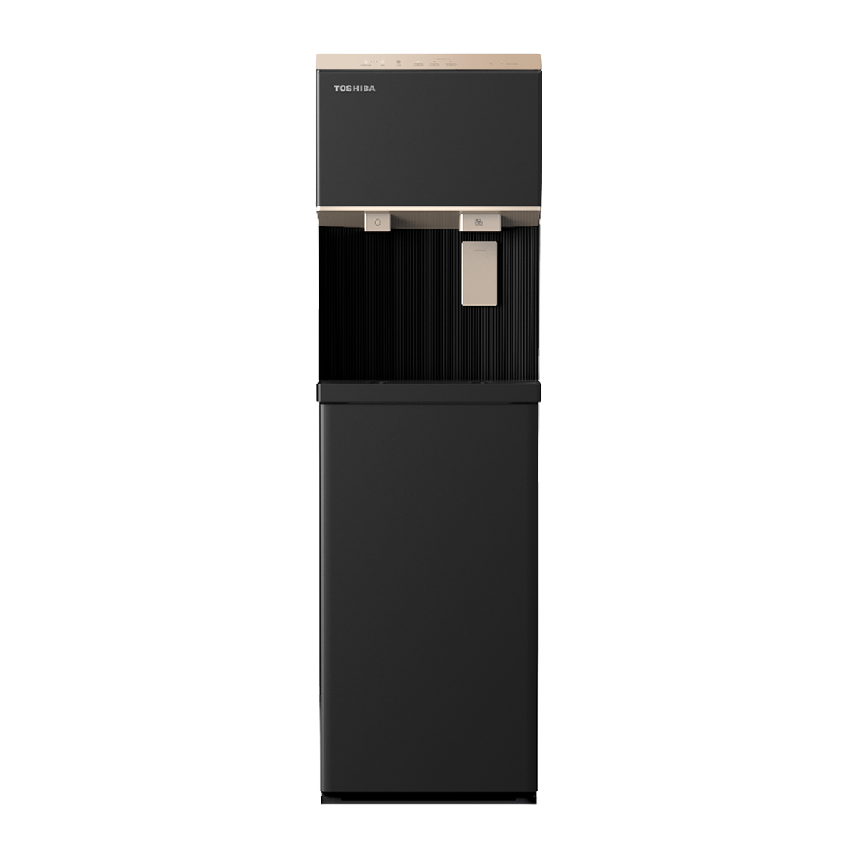 Máy lọc nước RO nóng lạnh và làm đá Toshiba TWP-IW2469SVN(K) 10 lõi